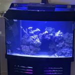 theaquariumservice.com