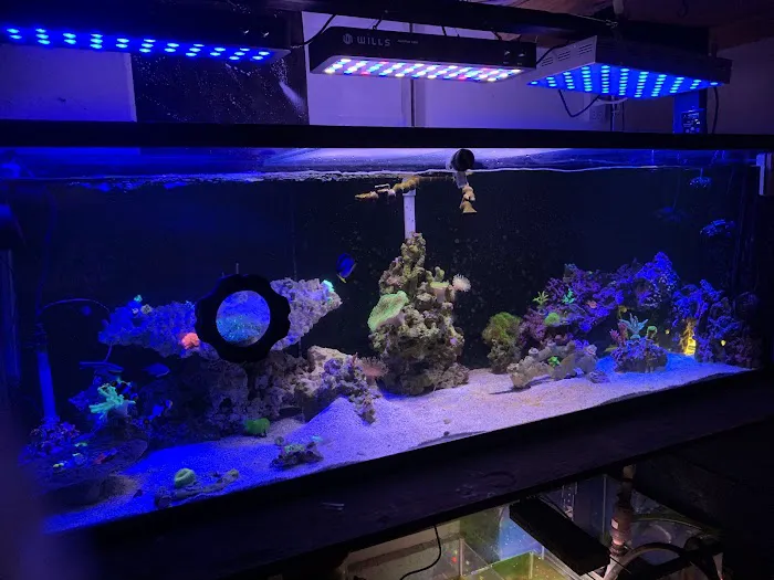 theaquariumservice.com Picture 8