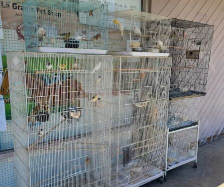 LaGranja Pet Shop