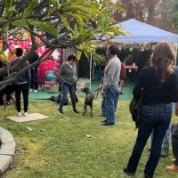Merch For Dog Lovers ico
