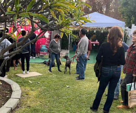 Merch For Dog Lovers