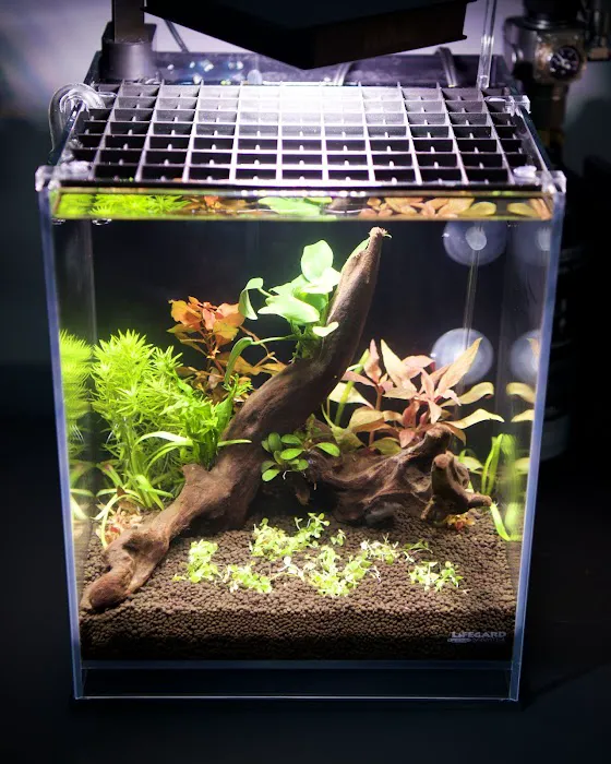 Lifegard Aquatics Picture 1