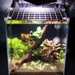 Lifegard Aquatics
