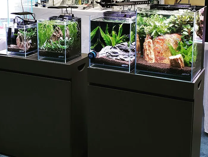 Lifegard Aquatics Picture 3