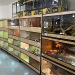REPTILE FACTORY