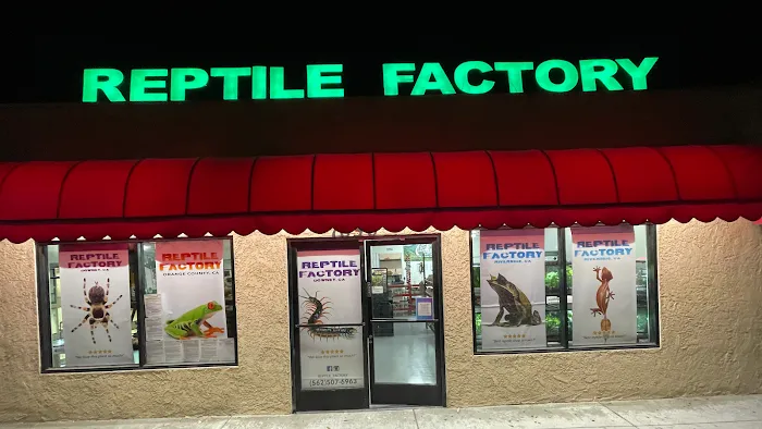 REPTILE FACTORY Picture 9