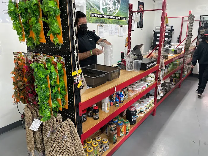 REPTILE FACTORY Picture 10