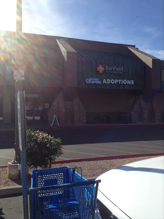 Banfield Pet Hospital Picture 5