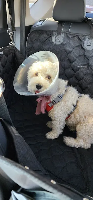 Banfield Pet Hospital Picture 7