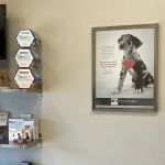 Aztec Animal Hospital