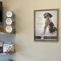 Aztec Animal Hospital ico