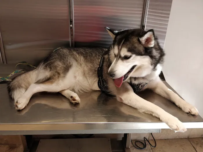 Aztec Animal Hospital Picture 5