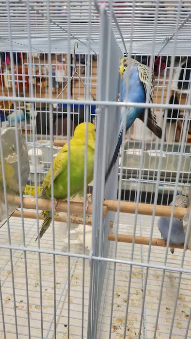 Carol's Pet Center Picture 2