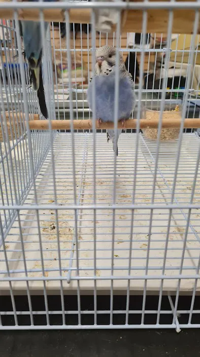 Carol's Pet Center Picture 6