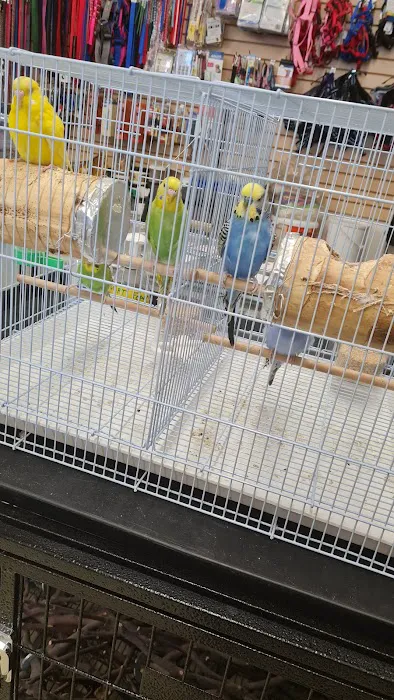 Carol's Pet Center Picture 4