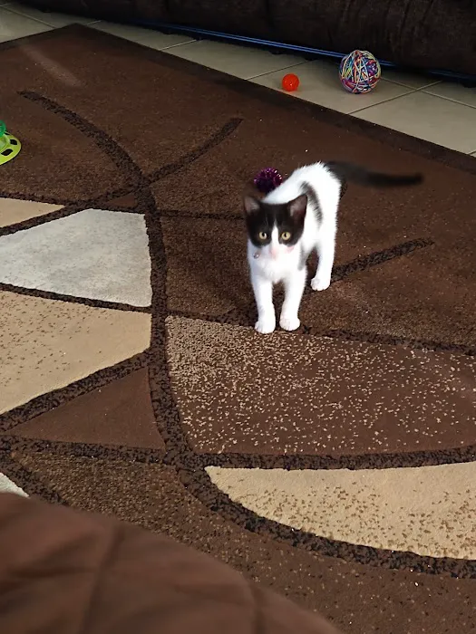 Carol's Pet Center Picture 5