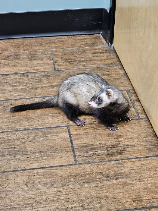 Hayden Road Animal Hospital Picture 3