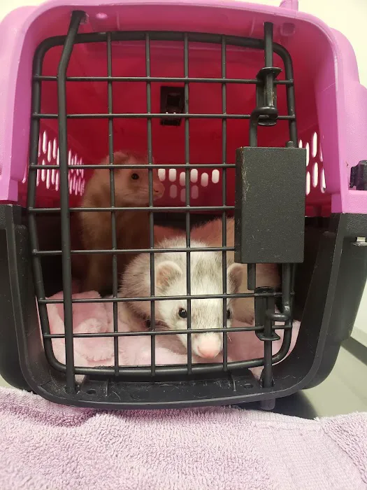 Hayden Road Animal Hospital Picture 1