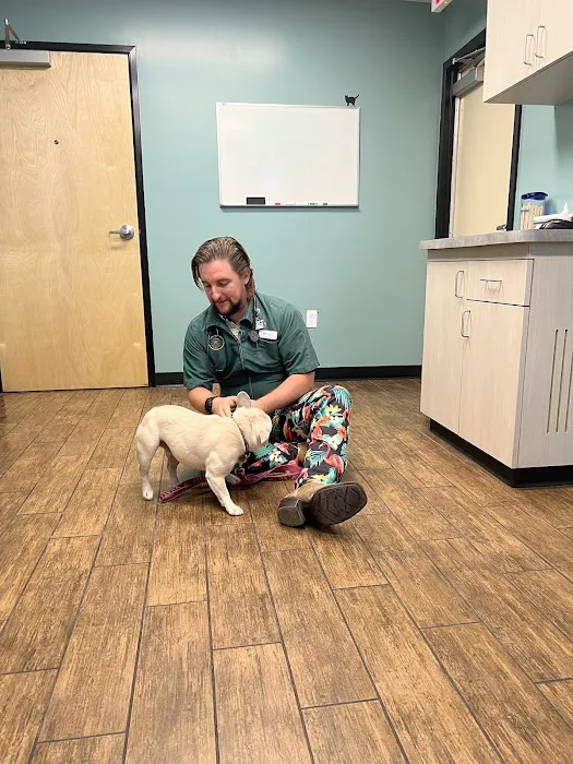 Hayden Road Animal Hospital Picture 5