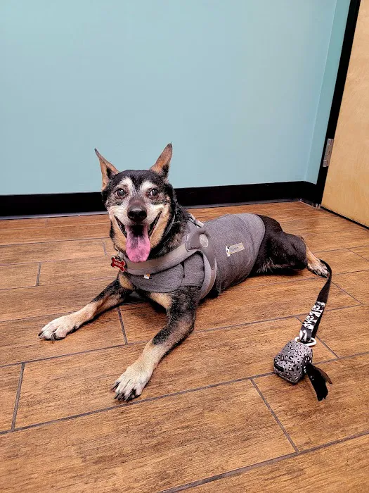 Hayden Road Animal Hospital Picture 6