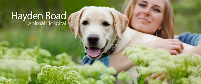 Hayden Road Animal Hospital Picture 10