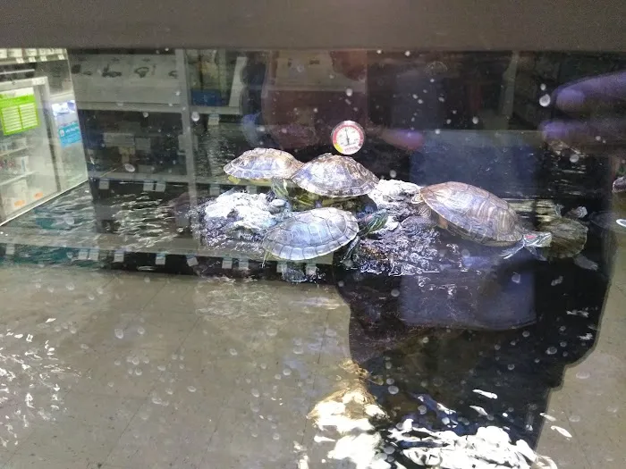 Petco Picture 6