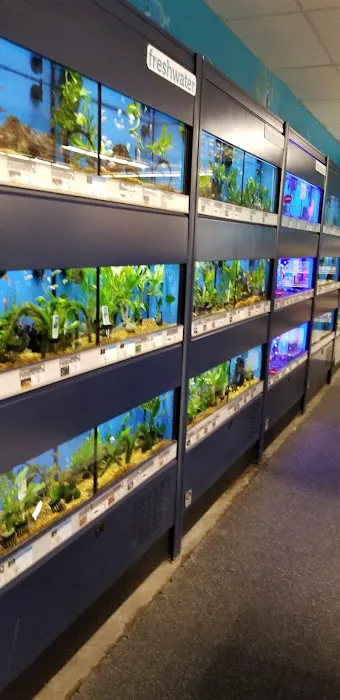 Petco Picture 2