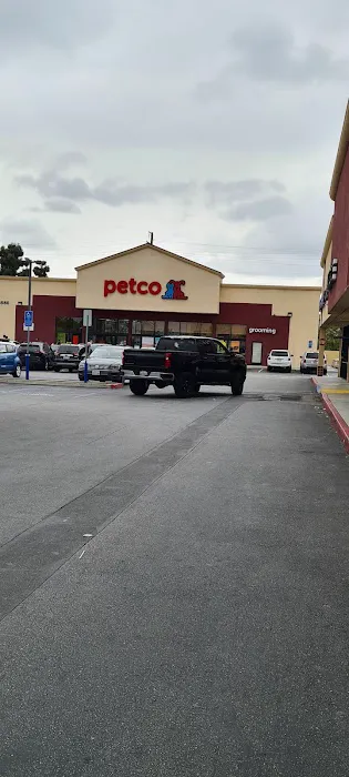 Petco Picture 3
