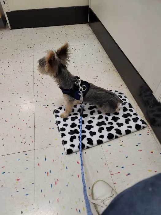 Petco Picture 9