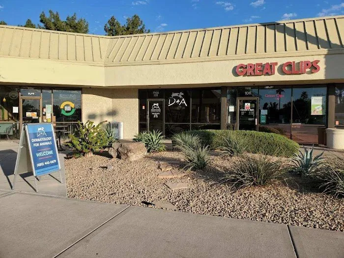 Dermatology for Animals - Scottsdale Picture 9