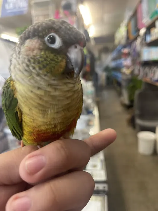 Villa's Pet Shop Picture 1
