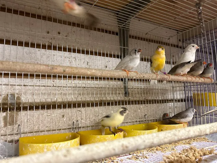 Villa's Pet Shop Picture 5