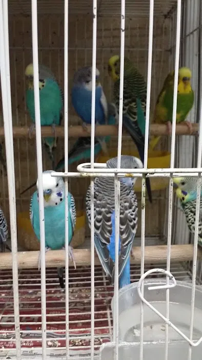 Villa's Pet Shop Picture 8