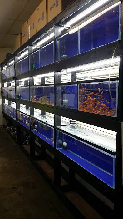 Villa's Pet Shop Picture 9