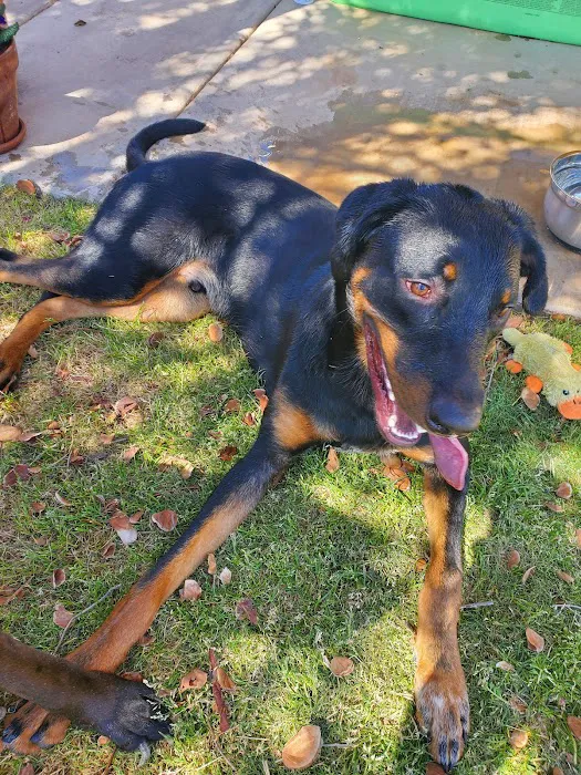 Banfield Pet Hospital Picture 1