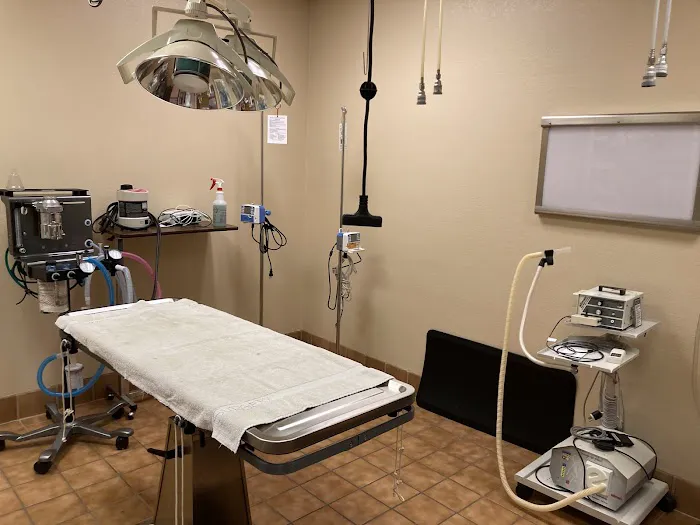 Cactus Pet Hospital LLC Picture 5