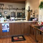 Cactus Pet Hospital LLC