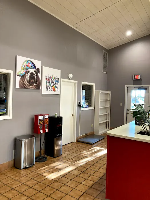 Cactus Pet Hospital LLC Picture 7