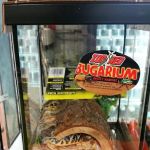 Rainbow Reptile Store