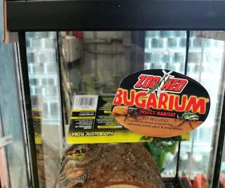 Rainbow Reptile Store