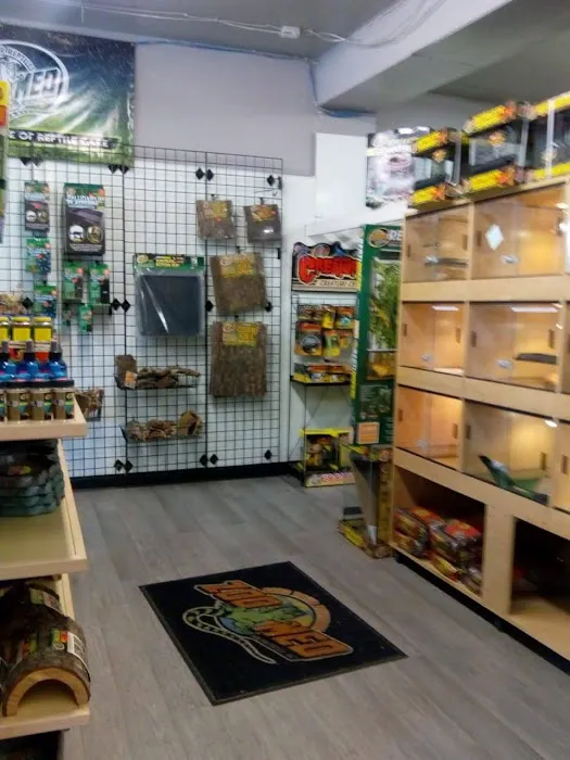 Rainbow Reptile Store Picture 2