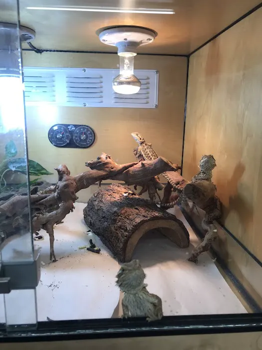 Rainbow Reptile Store Picture 5