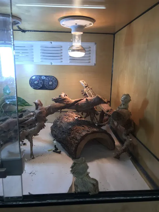Rainbow Reptile Store Picture 4