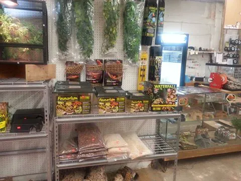 Rainbow Reptile Store Picture 7