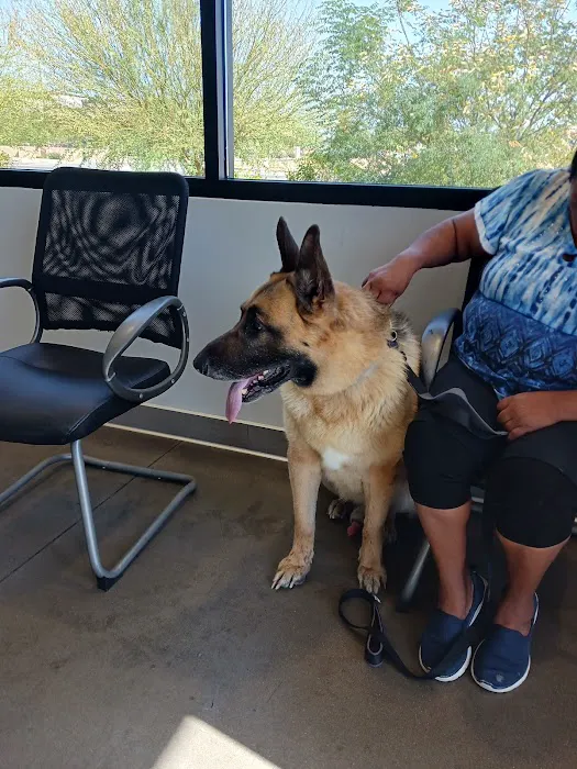 Peoria Animal Hospital Picture 1