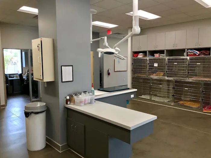 Peoria Animal Hospital Picture 8