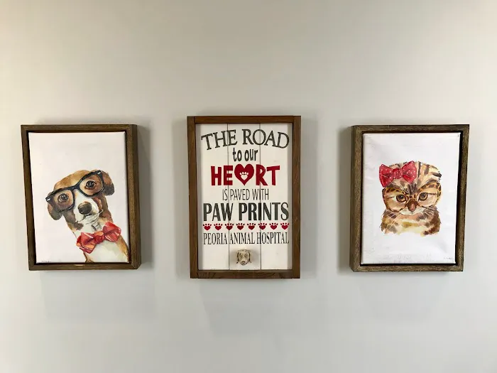 Peoria Animal Hospital Picture 7