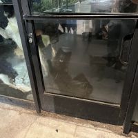 Wagmor Pets ico