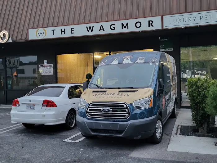 Wagmor Pets Picture 2