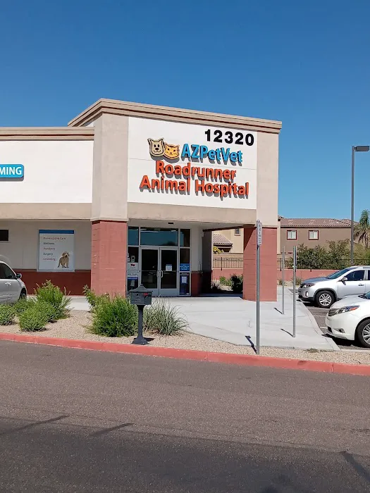 Lovet Pet Health Care - Roadrunner Picture 2